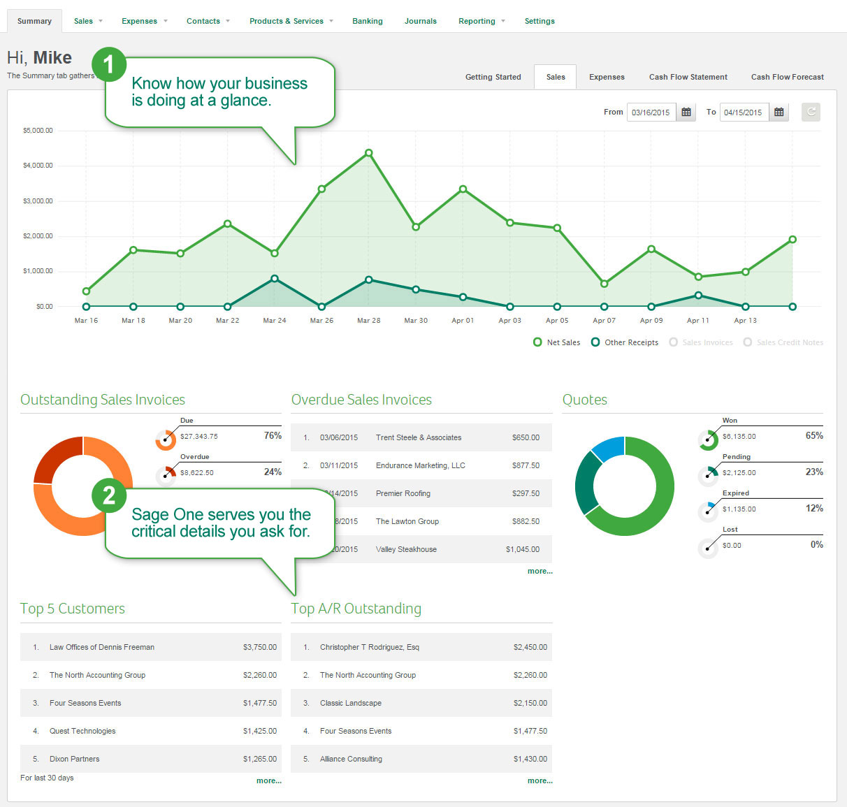 Sage One Online Accounting Software Sales Dashboard